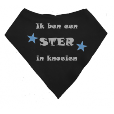 Puntslabbetje "Ik ben een ster in knoeien" Puntslabbetje "Ik ben een ster in knoeien"